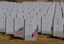 The government shutdown prompts the cancellation of some Veterans Day events