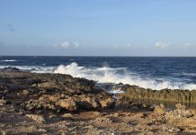 Aruba To Me; Barbara Mayo