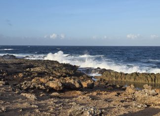 Aruba To Me; Barbara Mayo