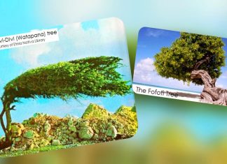 Episode CCCXX-330; Where the Wind Carves Legends: The Watapana and Fofoti of Aruba