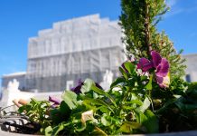 Supreme Court likely to rule in favor of abortion opponents in challenge to state investigation