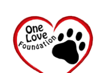 One Love Foundation Inc. celebrates a heartfelt Giving Tuesday by lifting up Aruba’s animal welfare community — and sharing the story of “Hope”