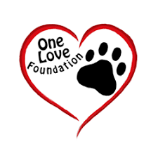 One Love Foundation Inc. celebrates a heartfelt Giving Tuesday by lifting up Aruba’s animal welfare community — and sharing the story of “Hope”
