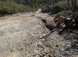 PSA for off-roaders: Be careful when driving on rough terrains!