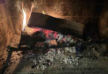 Record cold has fireplaces working overtime. Should those ashes be put to use in the garden?