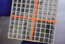 The U.S. has a new center in Texas to disperse sterile screwworm flies to block a parasite it spawns