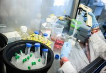 The Turning Tide: Why cancer survival rates are reaching historic highs