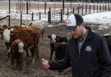 U.S. cattle farmers caught between high costs and weary consumers
