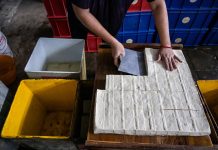 From Kitchen to Kilowatts: The new “tofu brine” battery that never dies—and never catches fire!