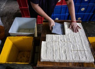 From Kitchen to Kilowatts: The new “tofu brine” battery that never dies—and never catches fire!