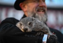 Punxsutawney Phil is said to have seen his shadow, forecasting 6 more weeks of wintry weather