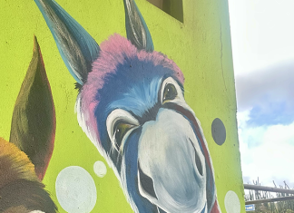 Aruba To Me; Glenn and JoAnn Murphy