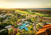 Touchdowns, Tackles & Buckets Await at Tierra del Sol!