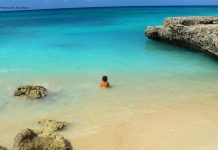 Episode CCCXLI- 341:Aruba Is More Than “We Love You”