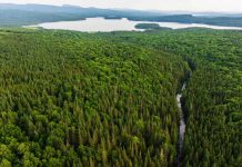 Alabama unveils historic $17.5 million investment in wildlife restoration