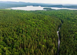 Alabama unveils historic $17.5 million investment in wildlife restoration