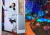 New Yorker transforms tiny apartment into immersive ‘Oz’ wonderland