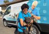 How a California community is saving senior dogs and the hearts of their owners