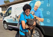 How a California community is saving senior dogs and the hearts of their owners