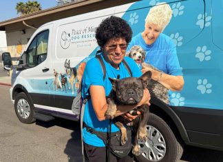 How a California community is saving senior dogs and the hearts of their owners
