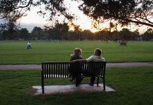 The return of the silence: How “Quiet Parks” are saving urban sanity