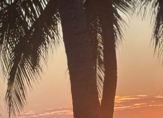 Aruba To Me; Rosemarie Chrzanowski