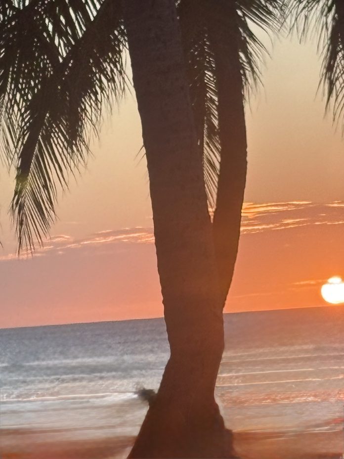 ARUBA TO ME ROSEMARIE