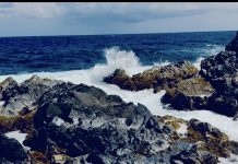 Aruba To Me; Scott Turner