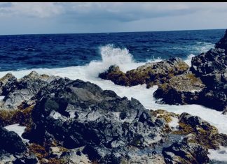 Aruba To Me; Scott Turner