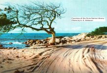 Episode CCCXLVI – 346: Hidden Cost of Paradise