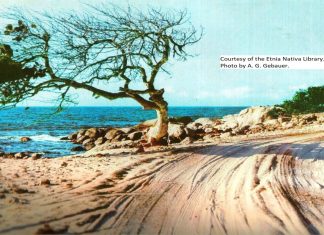 Episode CCCXLVI – 346: Hidden Cost of Paradise