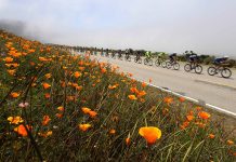 California’s Coastal Sanctuary: Finding Renewal Along the Cliffs of Big Sur