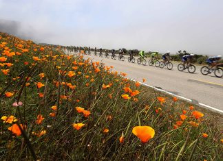 California’s Coastal Sanctuary: Finding Renewal Along the Cliffs of Big Sur