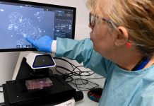 U.K. agrees ban on cigarette sales for people born after 2008