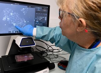 U.K. agrees ban on cigarette sales for people born after 2008