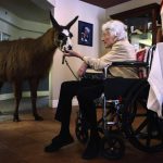 Hospice Cares For Terminally Ill During Final Stage Of Life
