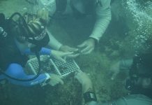 Coastal communities lead nation in marine restoration