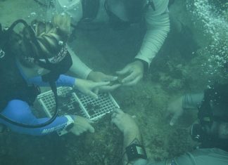 Coastal communities lead nation in marine restoration