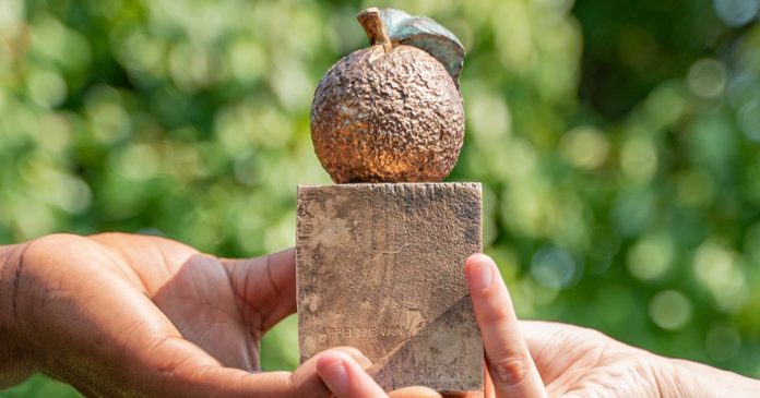 APPELTJES VAN ORANJE