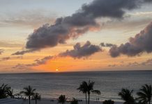 Aruba To Me; William Ryan