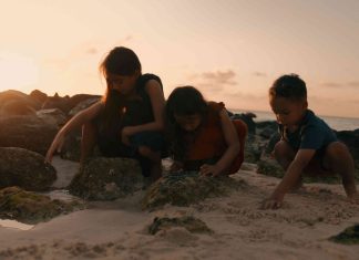 Naturalesa ta Papia: A Call to Listen and Act for Aruba’s Nature