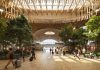 Nature takes flight: Portland’s new timber terminal cecomes a sanctuary for the modern traveler