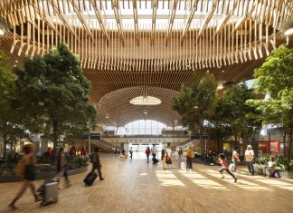 Nature takes flight: Portland’s new timber terminal cecomes a sanctuary for the modern traveler