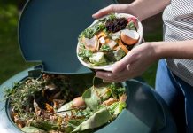 How Illinois is leading the midwest’s composting revolution