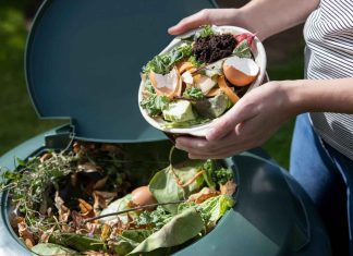How Illinois is leading the midwest’s composting revolution