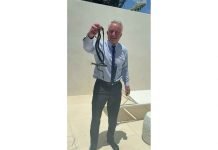 Live snakes, dead bears and brain worms: RFK Jr’s wild animal antics
