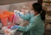 Stanford Breakthrough: “Immune system reset” cures Type 1 diabetes in mice