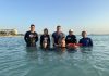 AMMF with update on recovering dolphin ‘Charlie’