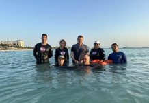 AMMF with update on recovering dolphin ‘Charlie’