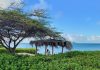 Aruba To Me; Don Alhart!